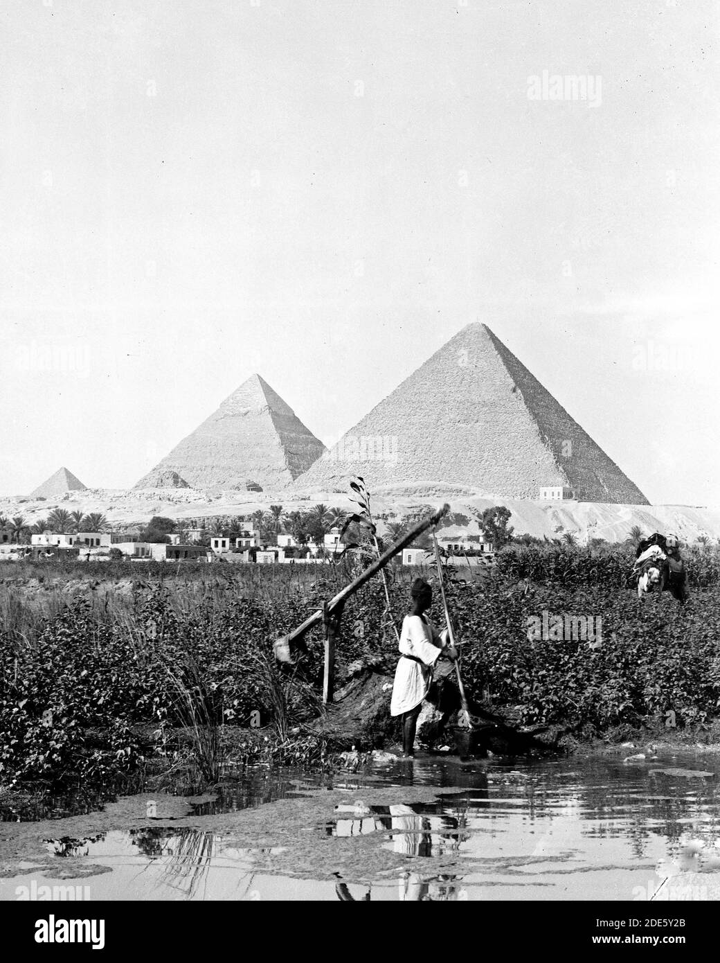 'Pyramides de Gizeh. Les trois pyramides avec ''''Shasuf'' en premier plan ca. 1934-1939' Banque D'Images
