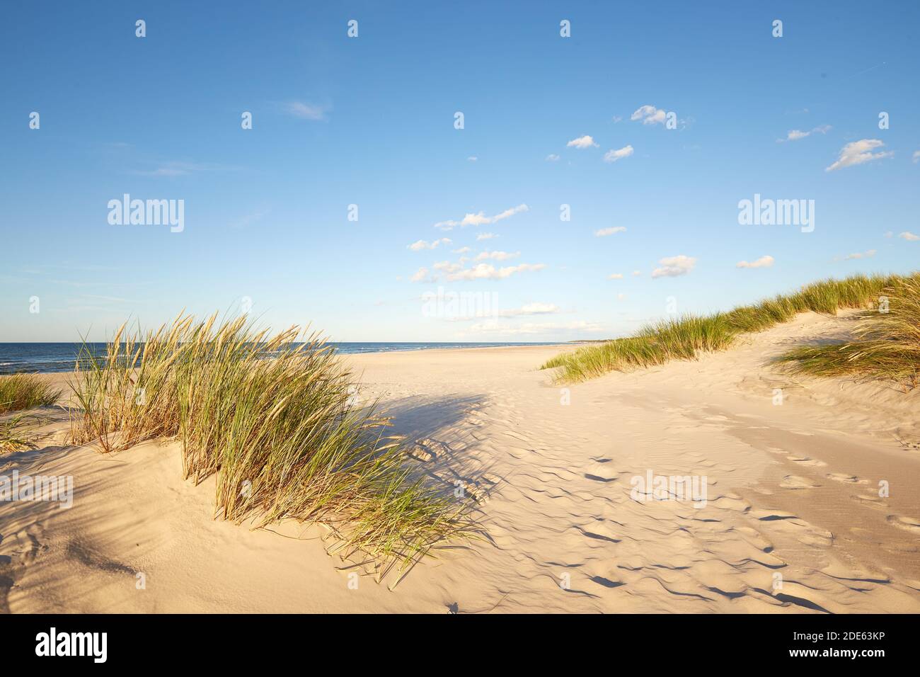Parc national Slovinski, dune de sable de Leba sur la côte Baltique Banque D'Images