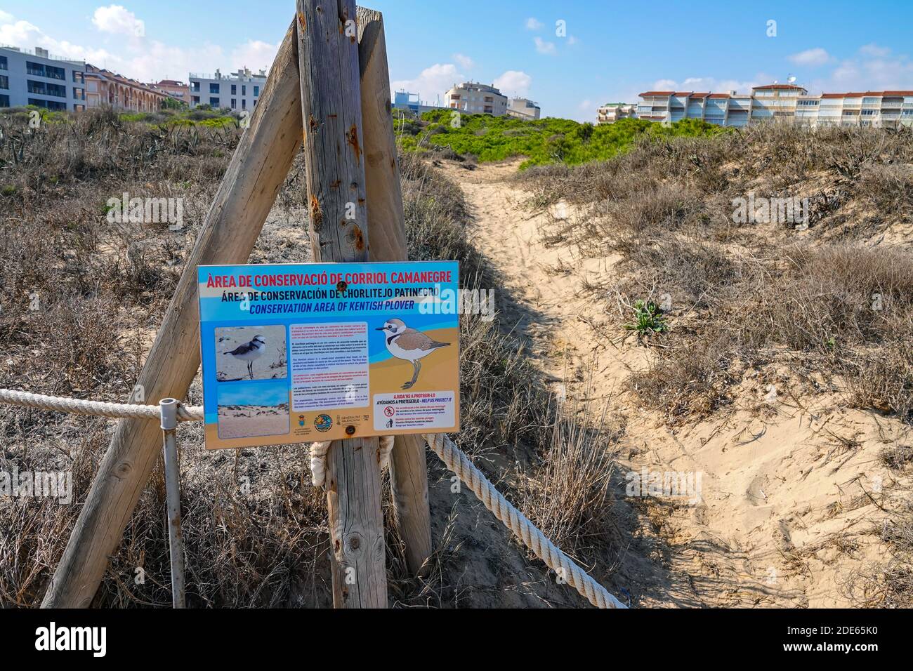 Panneau sur les dunes de sable sur la zone de conservation pour le Pluvier Kentish, la Mata, Torrevieja, Costa Blanca, Espagne, province de Valence Banque D'Images