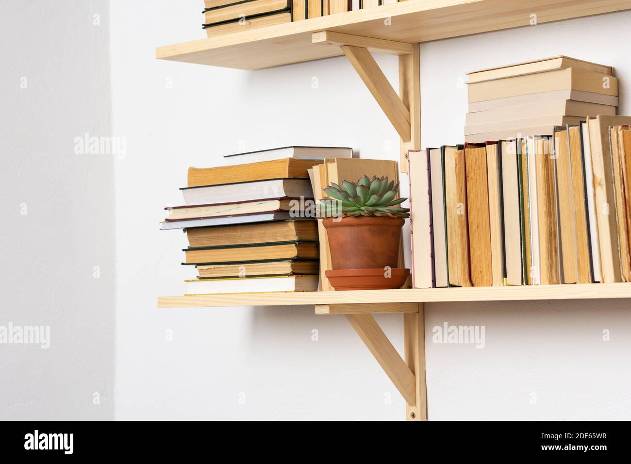 Étagères à livres en bois clair avec livres à l'intérieur blanc, fleurs  intérieures sur les étagères, bibliothèque, design biophile et plantes  Photo Stock - Alamy