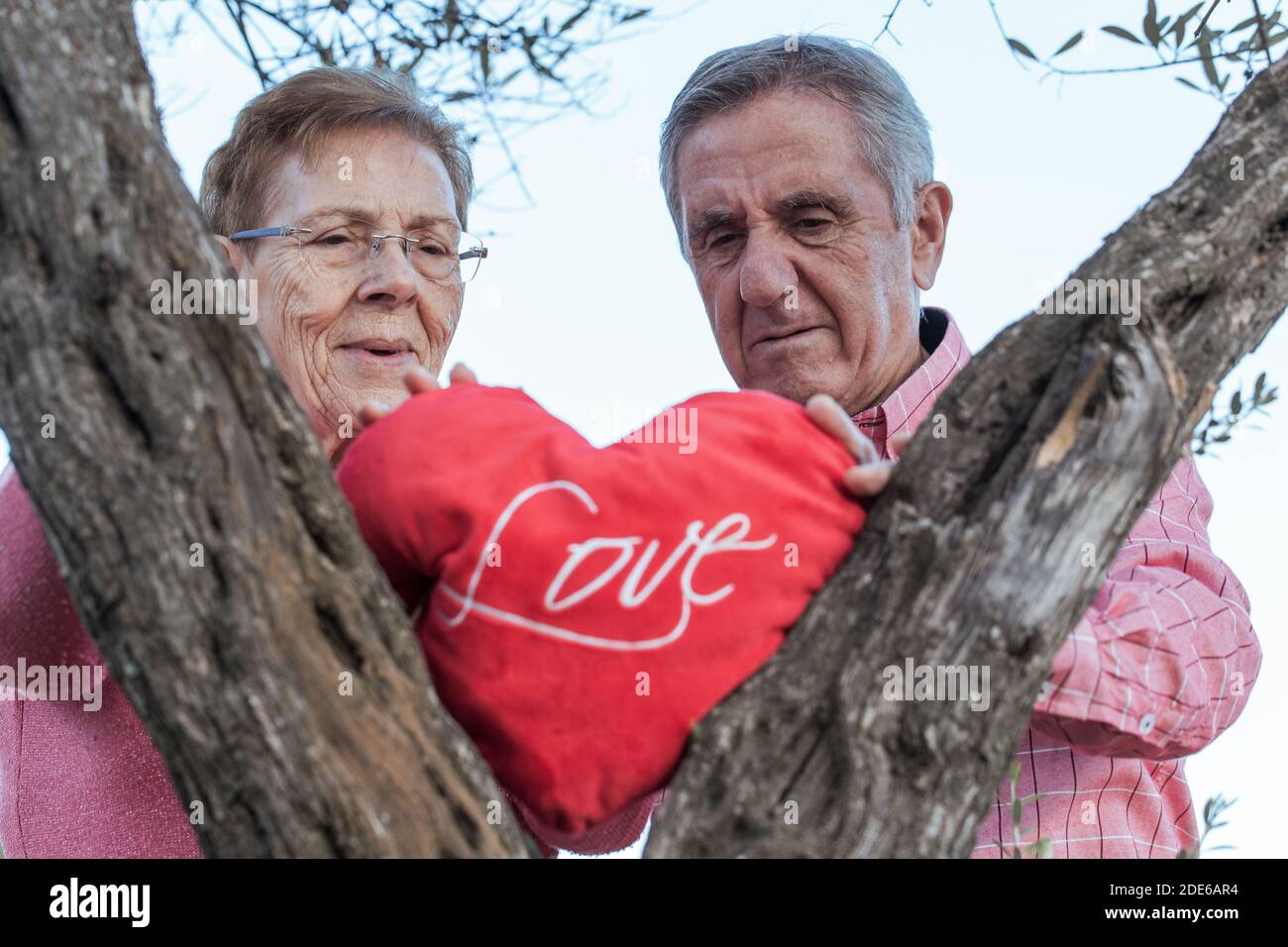 Un vieil homme heureux et une femme avec un rouge le cœur et le mot s'aiment les uns les autres sur le tronc d'un vieil olivier Banque D'Images