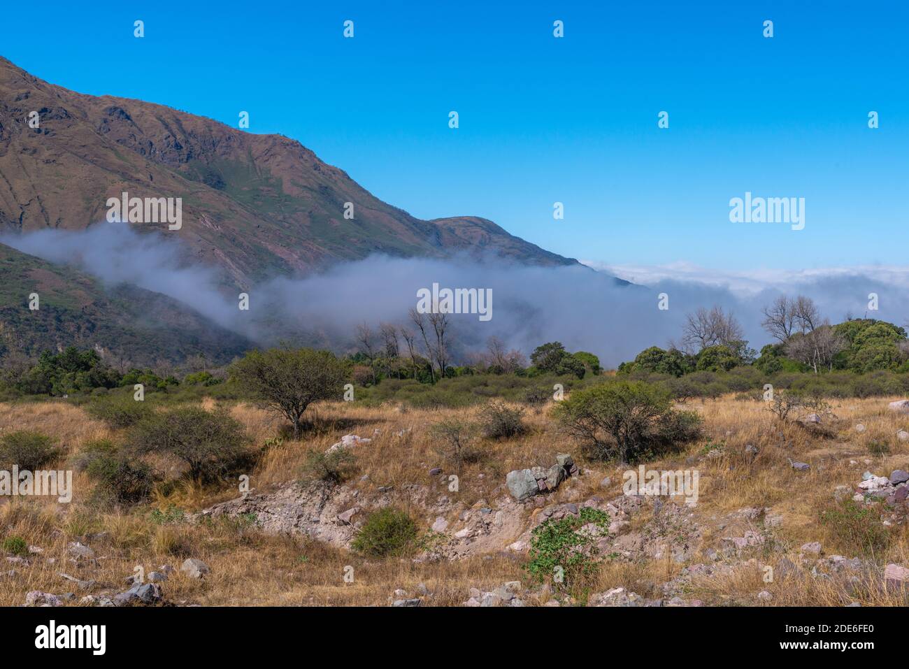 Un voyage sur la N 9 au nord de la province de Jujuy, dans le nord-ouest de l'Argentine, en Amérique latine Banque D'Images