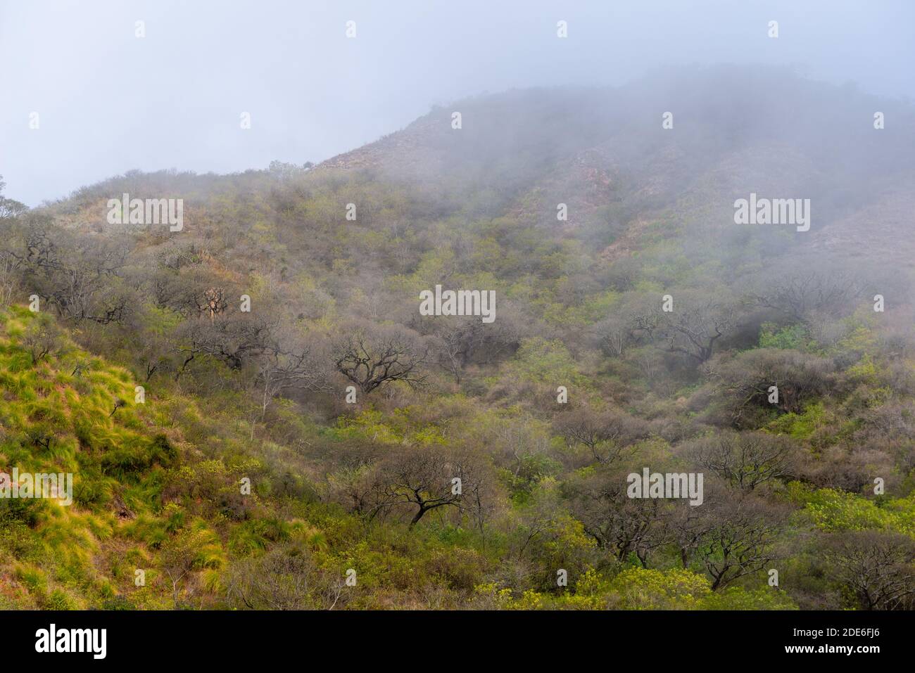 Un voyage sur la N 9 au nord de la province de Jujuy, dans le nord-ouest de l'Argentine, en Amérique latine Banque D'Images