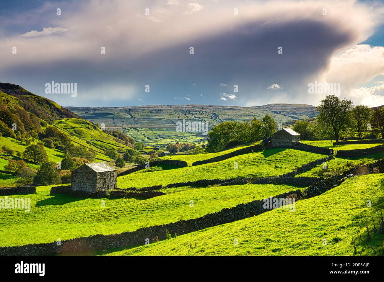 Hay Barns dans Upper Swaledale en automne, Yorkshire Dales, Angleterre, Royaume-Uni Banque D'Images