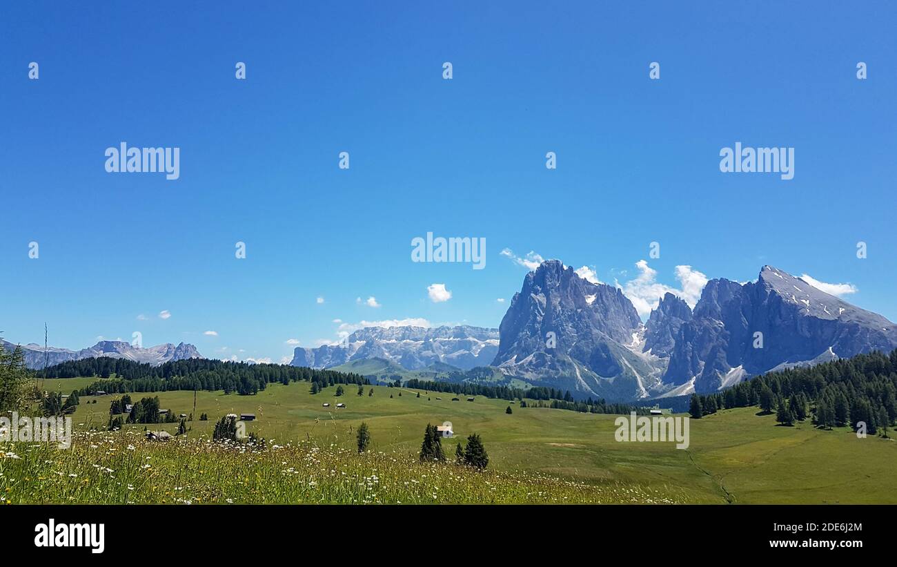Prairie tyrolienne avec fleurs jaunes. Magnifique paysage alpes vue panoramique sur la montagne Banque D'Images