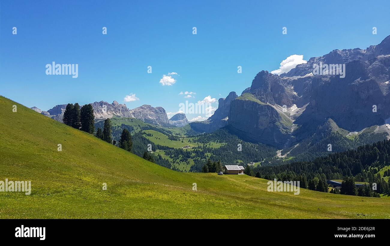 Prairie verte des Alpes avec fleurs jaunes. Magnifique paysage tyrol vue panoramique sur la montagne Banque D'Images