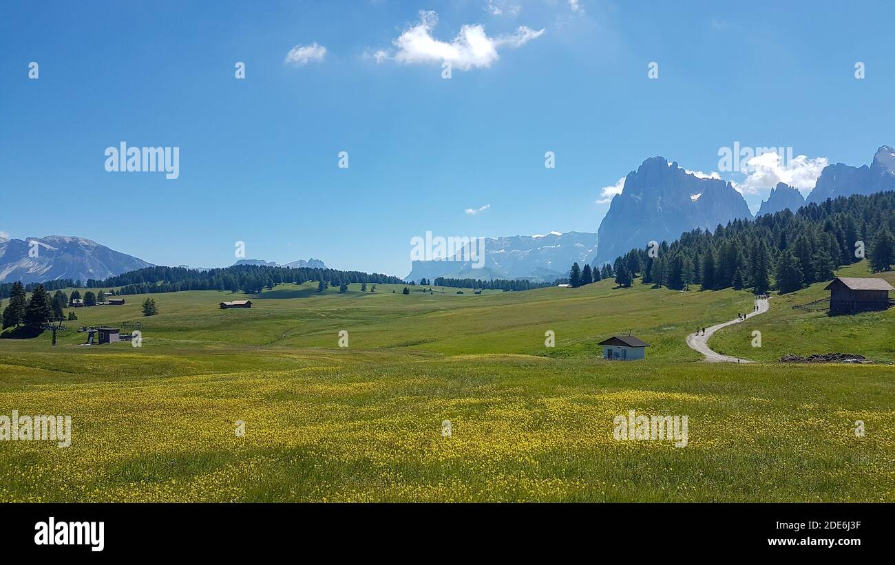 Prairie tyrolienne avec fleurs jaunes. Belle vue sur le paysage alpes montagnes panorama Banque D'Images