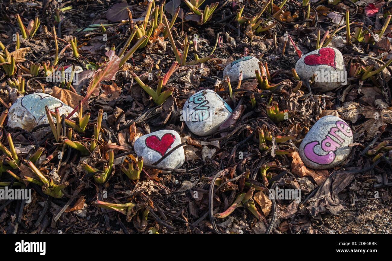Les gens sont reconnaissants des efforts que le personnel de santé fait pour eux. Messages mignons sur les petits rochers. Banque D'Images