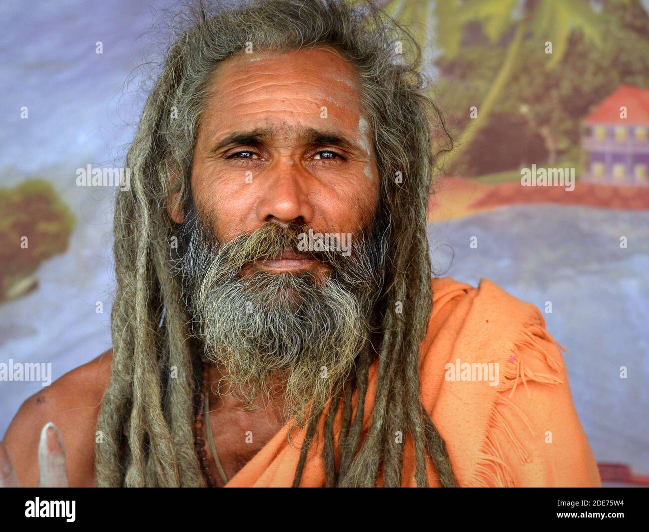 Puissant indien hindou Shaivite sadhu (gourou, baba) avec de longues dreadlocks de style rasta porte une robe orange et fixe au spectateur pendant Shivratri Mela. Banque D'Images