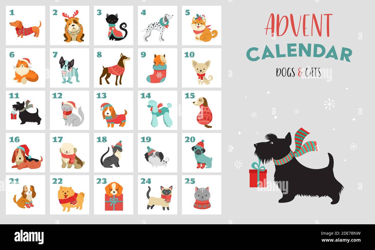 Calendrier de l'Avent de Noël avec chiens. Affiche de Noël amusante avec chiots, chiens portant des vêtements d'hiver, accessoires de Noël Illustration de Vecteur