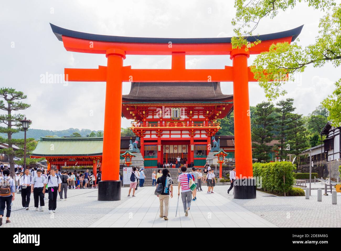 Le sacré Fushimi Inari Taisha à Kyoto, au Japon, avec sa série de portes vermilion torii Banque D'Images