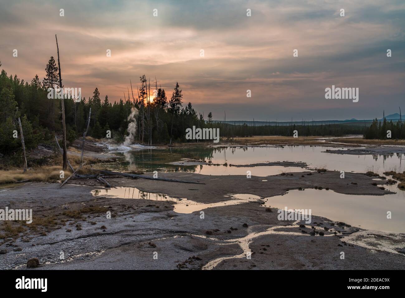 La source de crépitement est une source chaude sur le bord du lac de crépitement dans le bassin de porcelaine dans le bassin de Norris Geyser dans le parc national de Yellowstone, Wyoming Banque D'Images