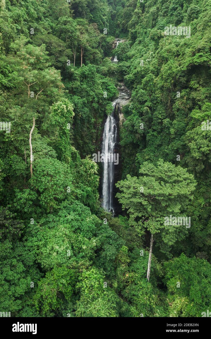 Vue aérienne de drone de la grande cascade cachée dans la forêt tropicale de la jungle. Nature sauvage intacte, fond vert. Bali, Indonésie Banque D'Images