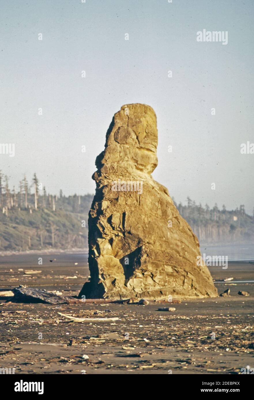 Photos des années 1970 (1972) - Quinault Beach Banque D'Images