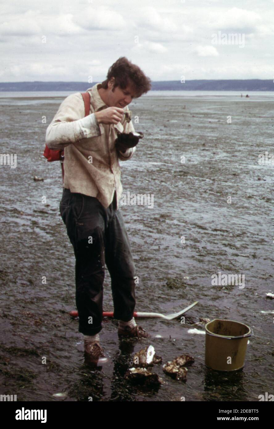 'Photo des années 1970 (1973) l'homme baise et mange des huîtres sur