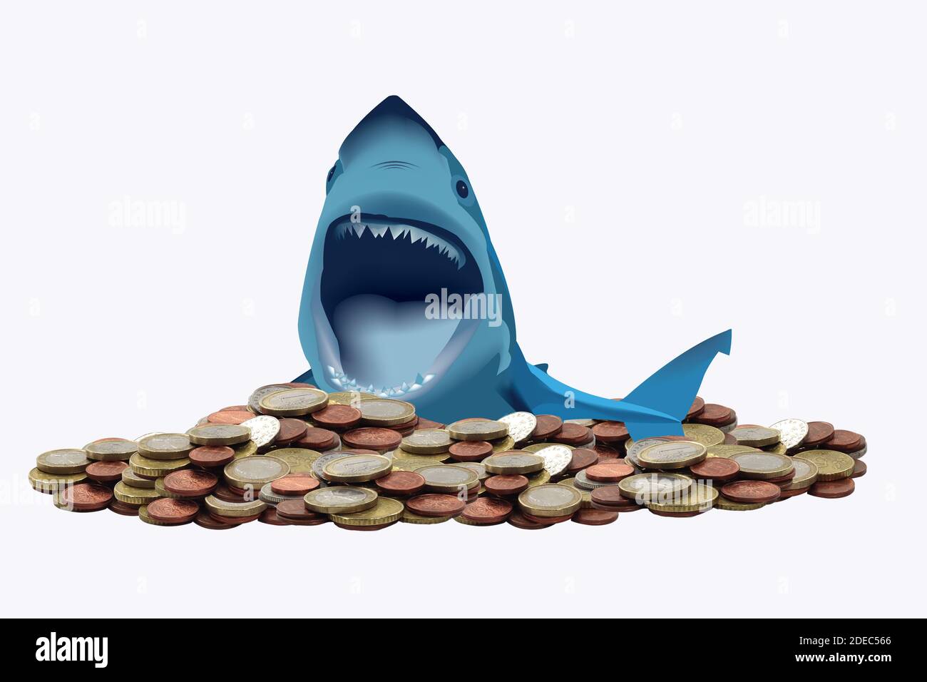 Gros plan d'un requin sur une pile de pièces Euro isolé sur un fond blanc Banque D'Images