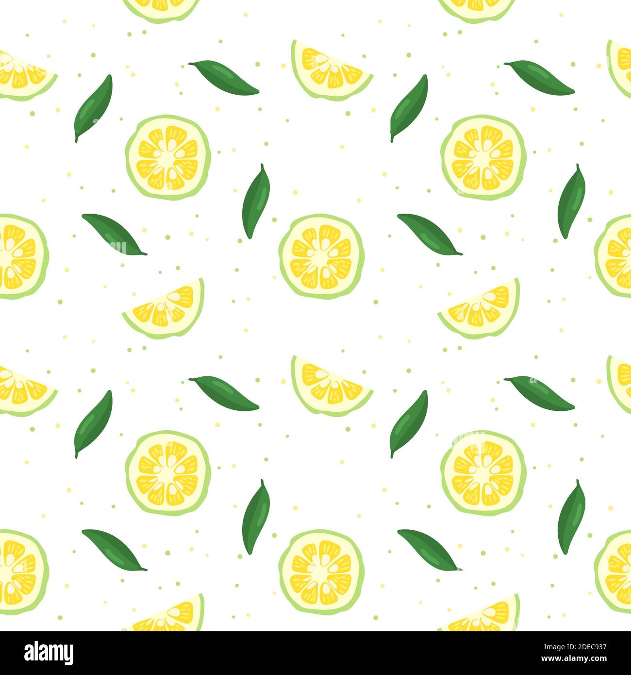 Illustration vectorielle de motif sans couture de fruits citrons japonais yuzu vert isolée sur fond blanc. Illustration de Vecteur