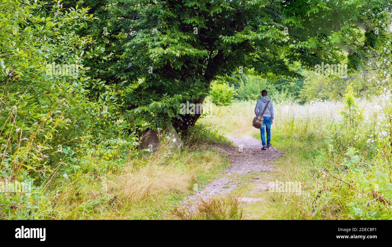 Vue arrière d'un jeune homme en randonnée dans la nature. Touriste avec un sac de marche le long du sentier dans la forêt. Banque D'Images