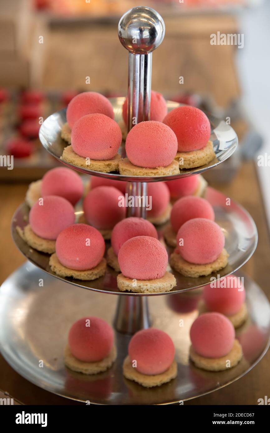 Bouffées. Boules de mousse à saveur de fraise sur une base de biscuit Banque D'Images