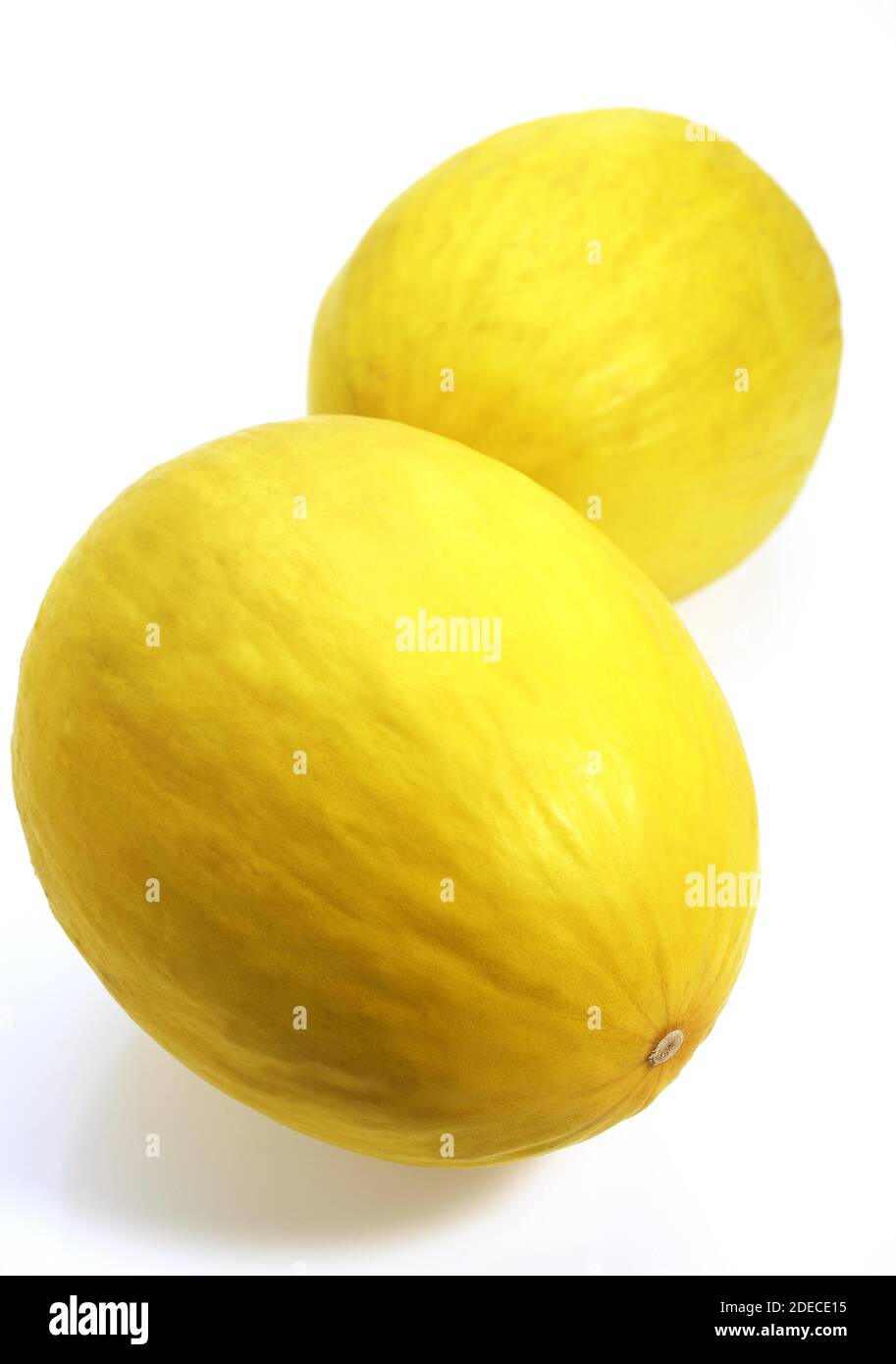Espagnol jaune melon, Cucumis melo, fruits contre fond blanc Banque D'Images