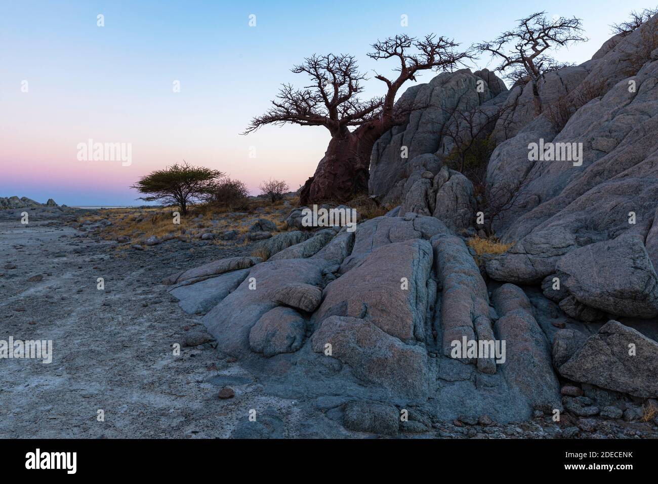 Rochers et baobab au crépuscule Banque D'Images