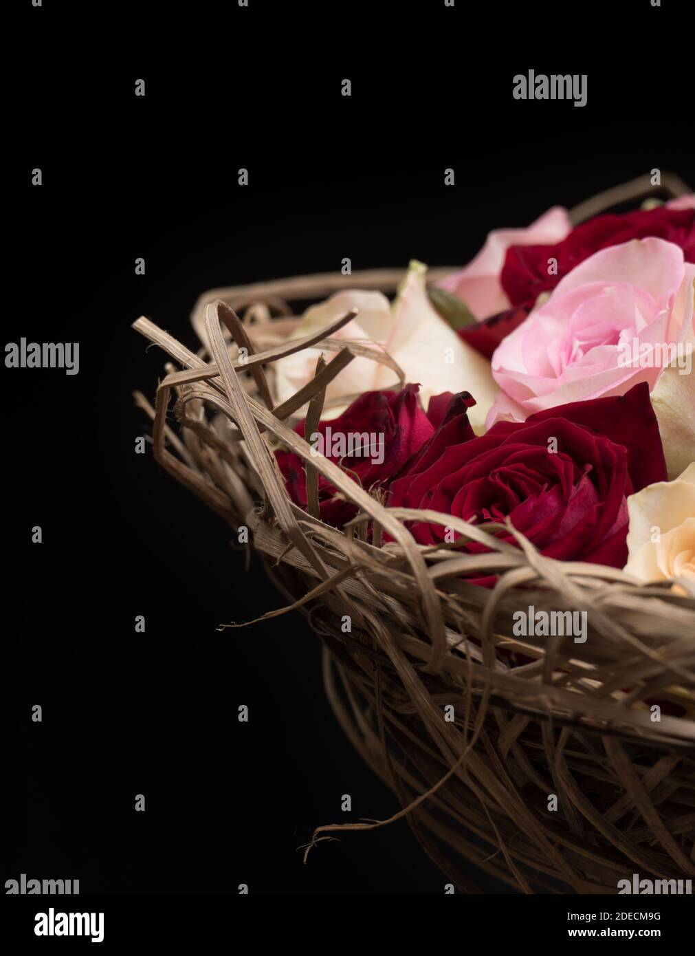 Gros plan de roses colorées dans un panier à roseau sur fond noir Banque D'Images