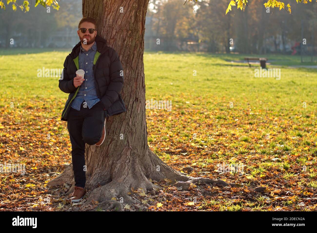 Portrait de beau jeune homme dans le parc - paysage d'automne Banque D'Images