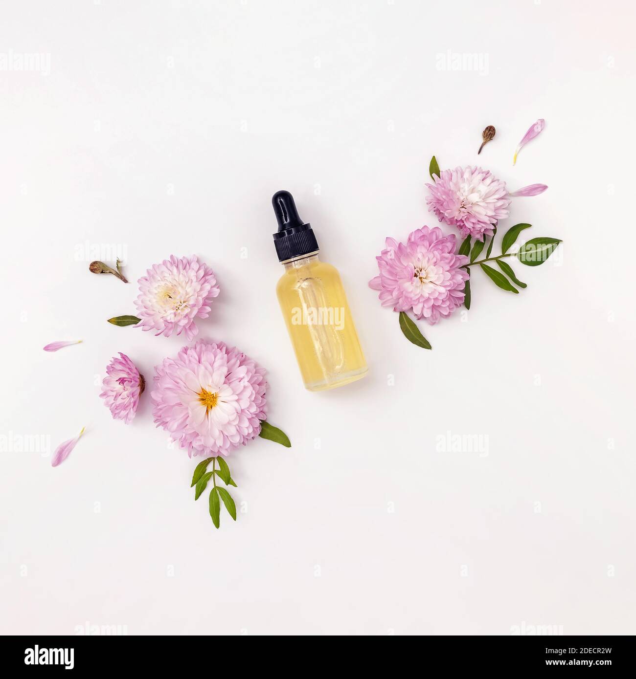 Composition avec sérum facial ou huile essentielle et fleurs Banque D'Images