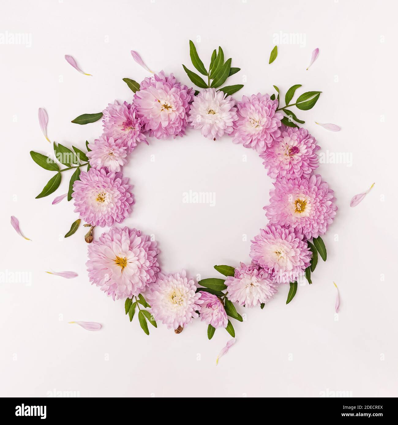 Cadre fleuri composé de fleurs roses, de feuilles vertes et de pétales Banque D'Images