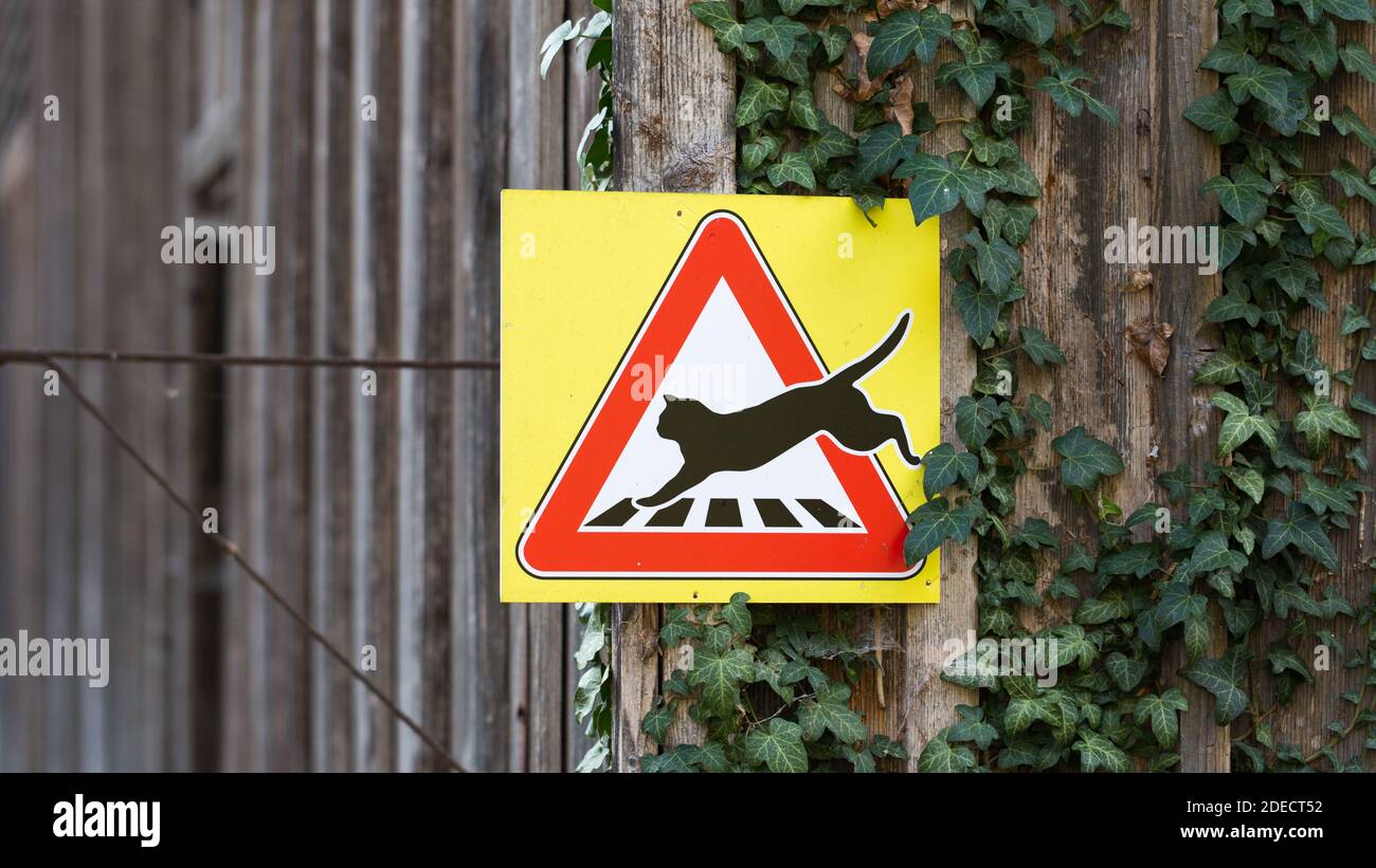 Attention, ralentissez : il y a des chats autour! Panneau de signalisation avec un chat passant au-dessus d'un passage à Zèbre. Banque D'Images
