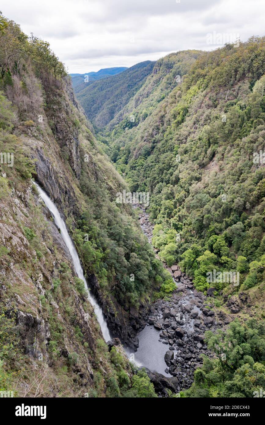 Estimée à 200 m, la cascade à horsetail d'Ellenborough Falls est la plus haute chute d'eau en Nouvelle-Galles du Sud, en Australie Banque D'Images