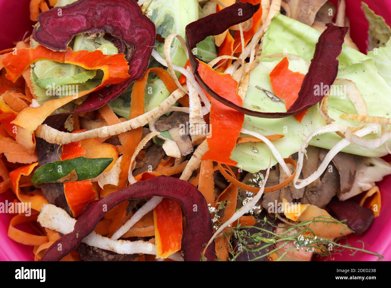 Déchets organiques domestiques. Morceaux de légumes et de fruits pour le compostage biologique. Déchets d'aliments biologiques. Banque D'Images