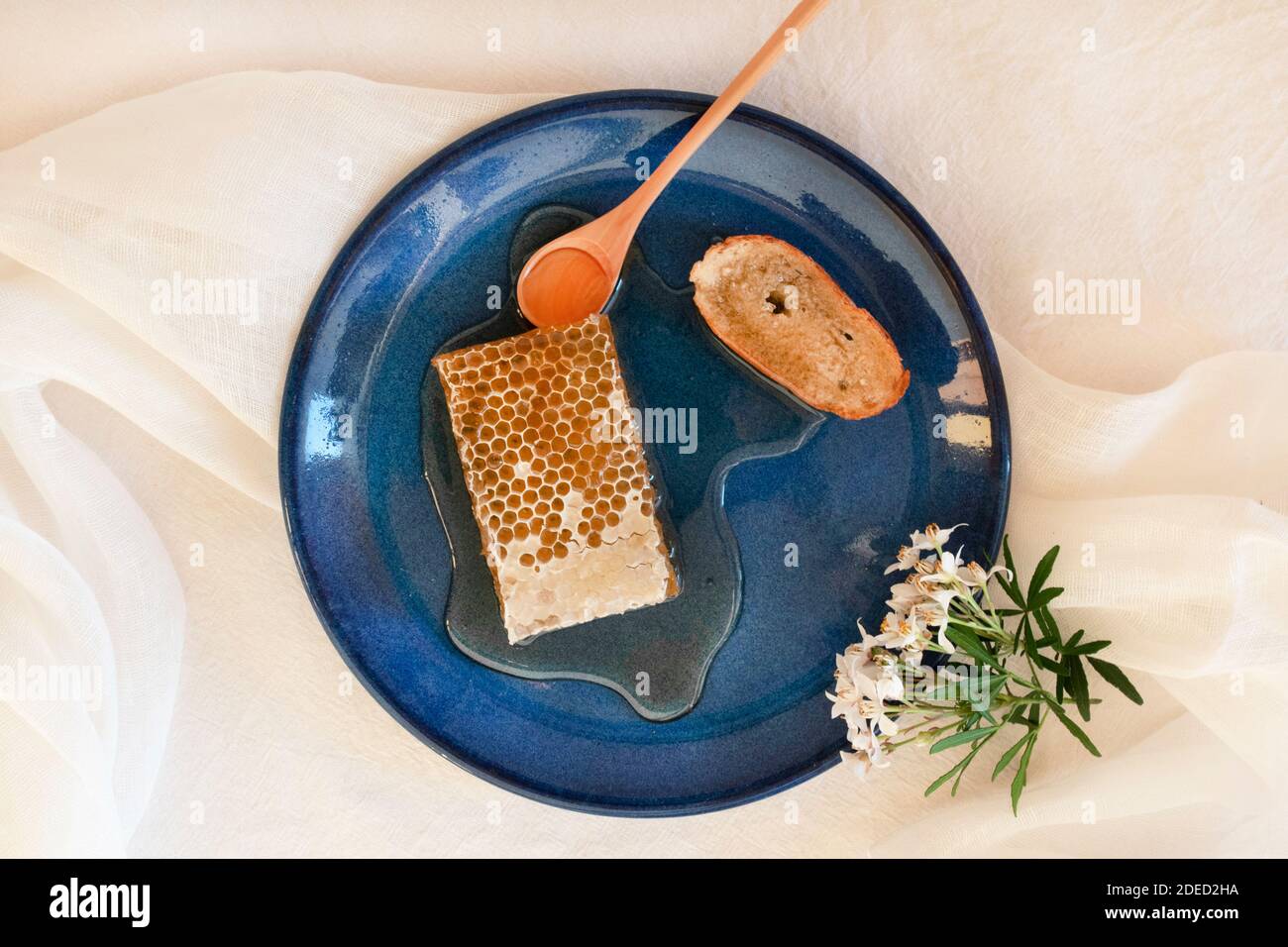 Miel et nid d'abeille sur une table blanche avec des fleurs blanches Banque D'Images