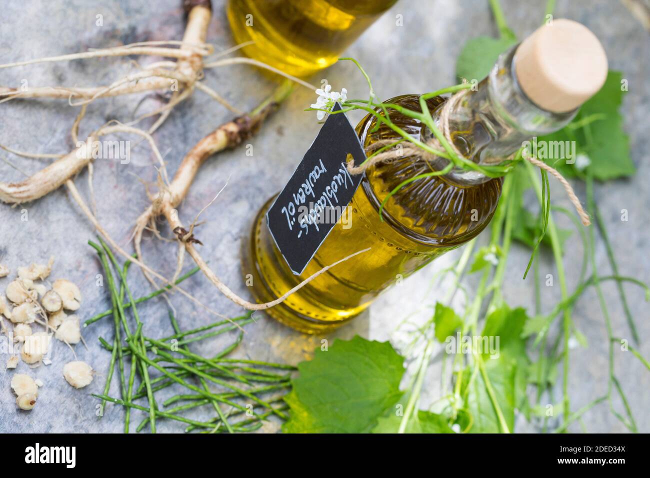 Moutarde à l'ail, ail de haie, Jack-by-the-haie (Alliaria petiolata), huile d'ail de haie autofabriquée, Allemagne Banque D'Images