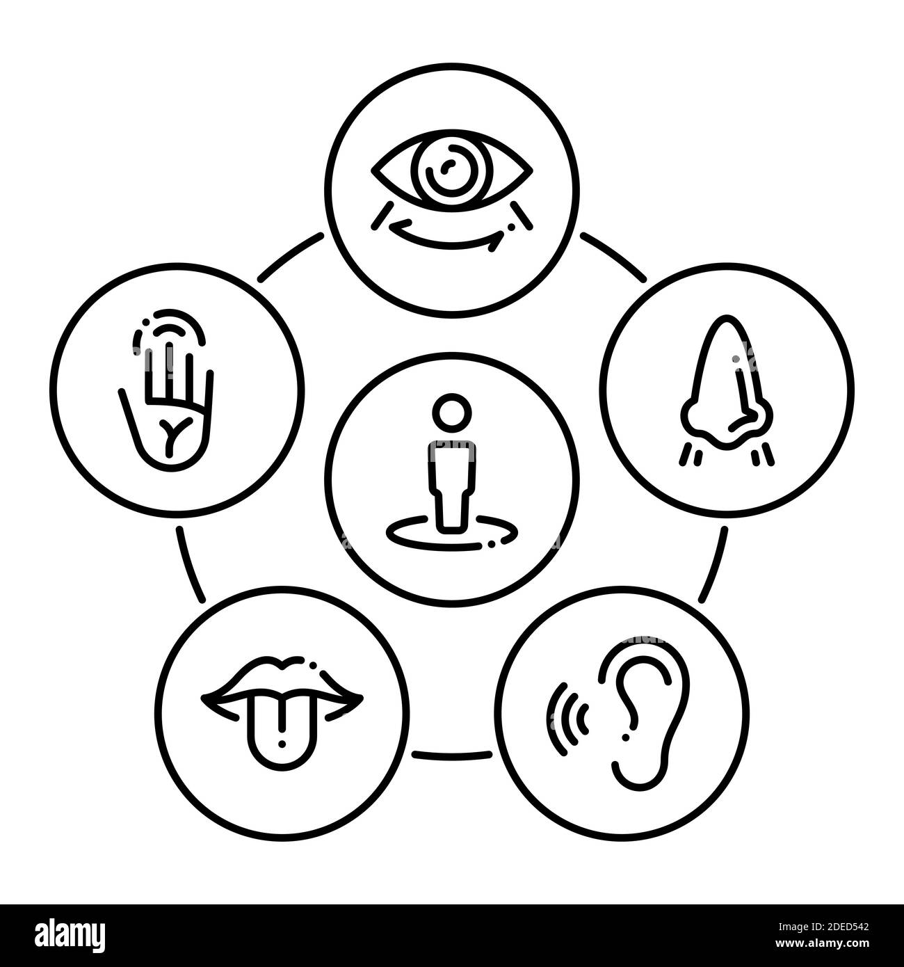 Ensemble d'icônes noires isolées sur fond blanc, sur le thème organes de sens Illustration de Vecteur