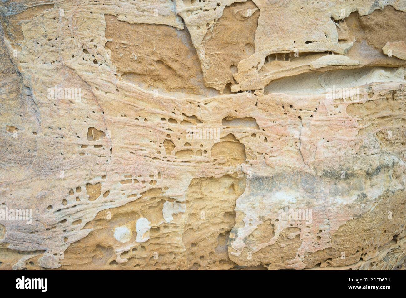 Sable et texture rocheuse sur la plage Banque D'Images