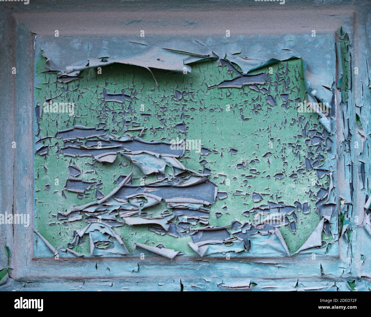 Peinture verte pealing à partir de bois Banque D'Images