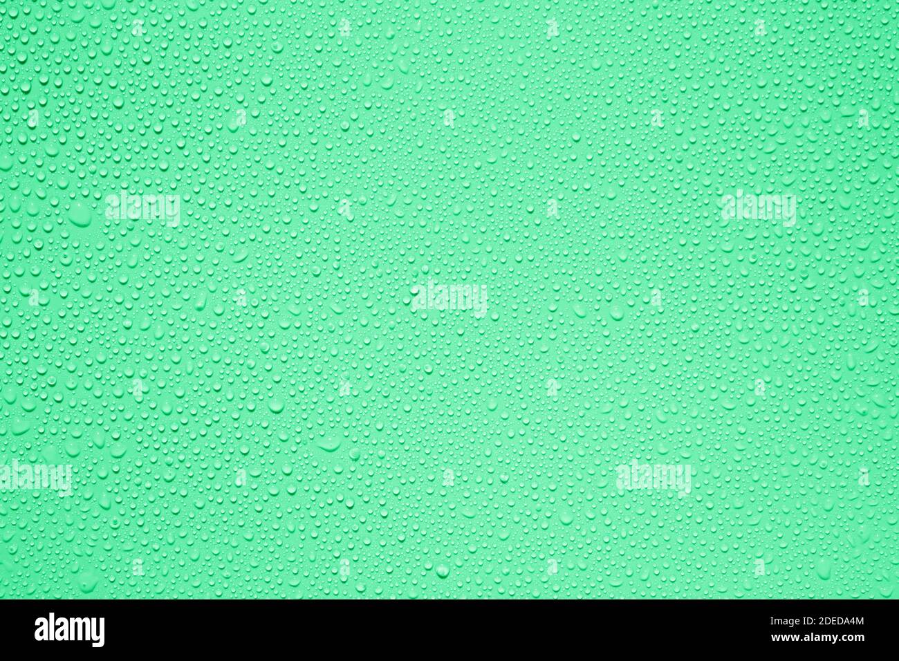 L'eau ou la pluie tombe sur fond vert Banque D'Images