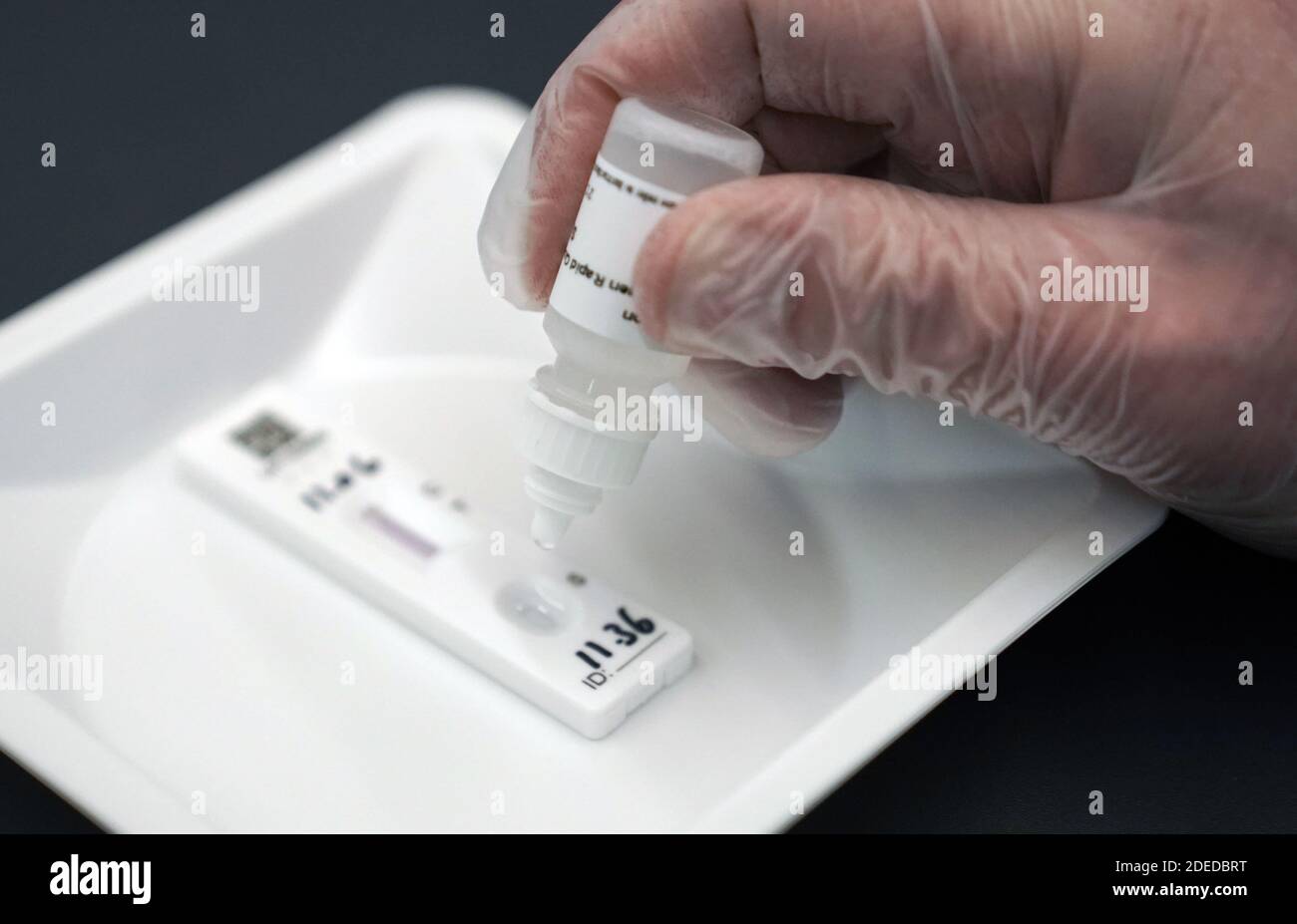 L'étudiante Amy Hariot Bingle, 22 ans, de l'Université de Newcastle, a montré comment administrer un test Covid-19, afin qu'elle puisse se tester, par David Black, un spécialiste de la santé professionnelle. Amy fera partie d'un test de masse à travers le Royaume-Uni à partir de demain, le 1er décembre 2020. Banque D'Images
