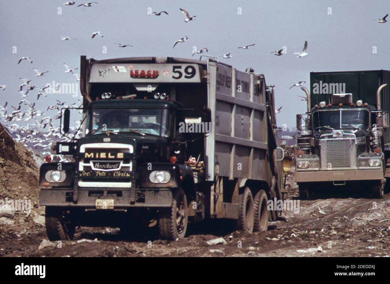 Photo des années 1970 - (1973) - des camions transportent les déchets vers les prés de Hackensack près de ft. Lee sur la rivière Hudson; attirer des troupeaux de zones d'enfouissement de mouettes de mer déferlant sera éventuellement utilisé à des fins récréatives Banque D'Images