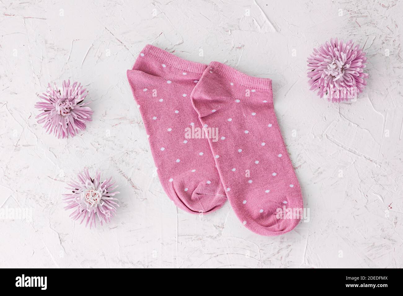 Paire de chaussettes et de fleurs d'aster roses pour femmes sur fond blanc structuré, vue du dessus. Banque D'Images