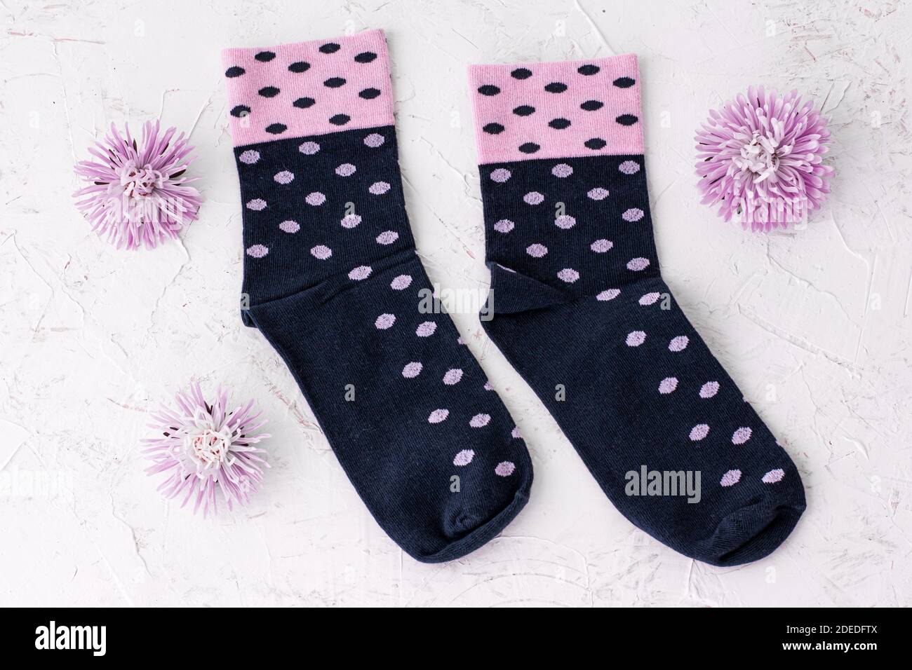 Paire de chaussettes et de fleurs d'aster pour femmes sur fond blanc structuré, vue du dessus. Banque D'Images