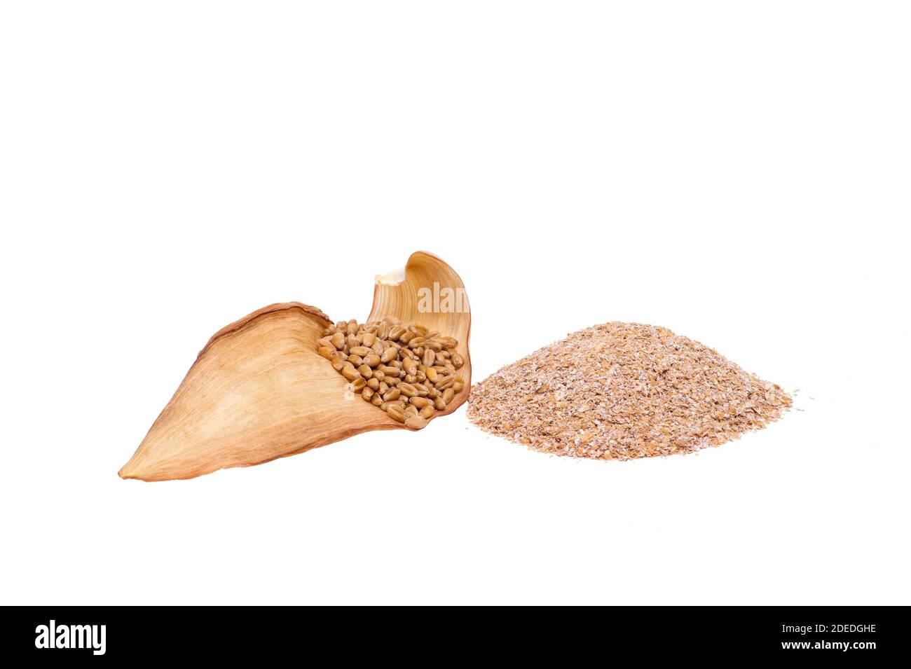 Grains de blé sur une feuille de maïs sèche avec une poignée de son de blé  coupé sur fond blanc Photo Stock - Alamy