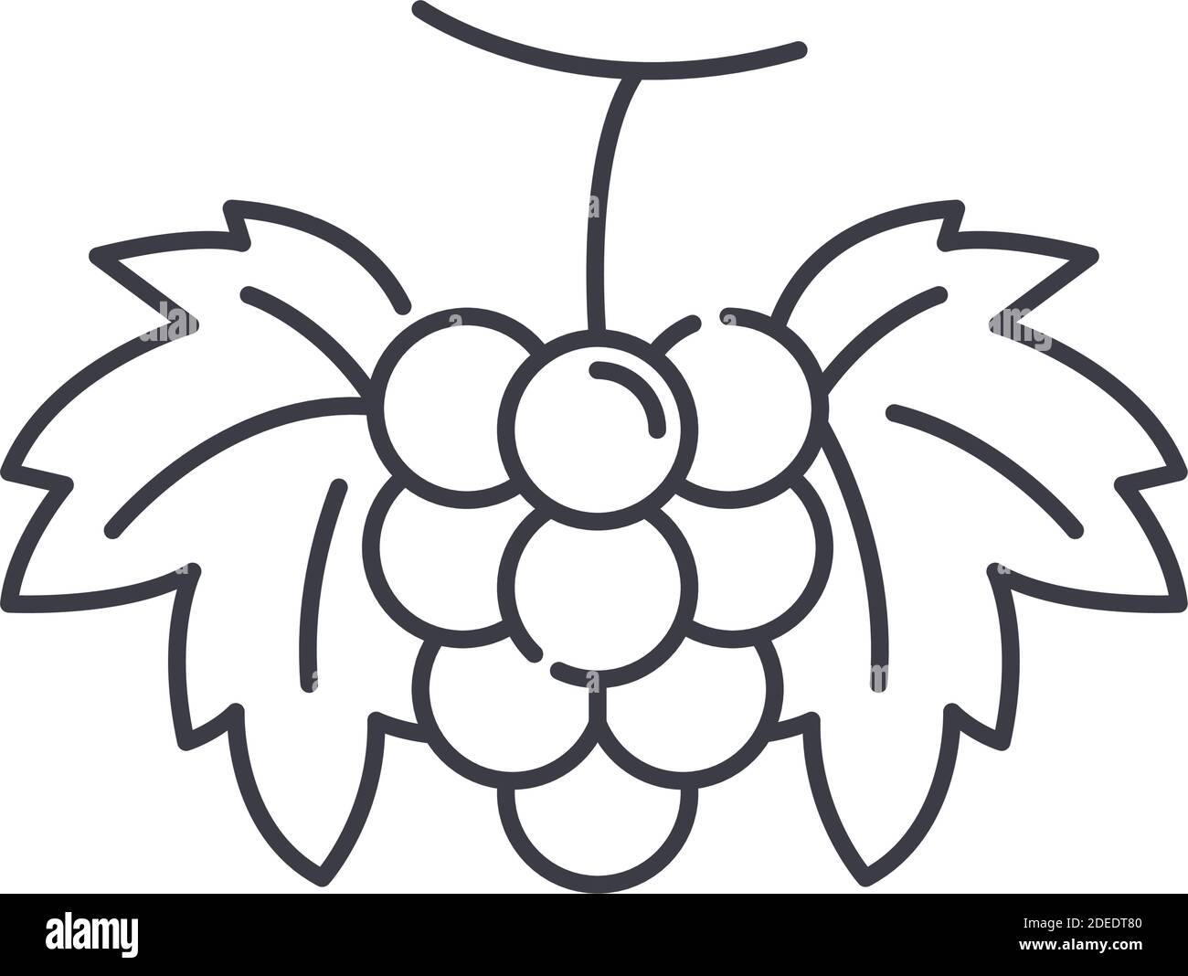 Icône de raisin, illustration isolée linéaire, vecteur de ligne mince, signe de conception de Web, symbole de concept de contour avec contour modifiable sur fond blanc. Illustration de Vecteur