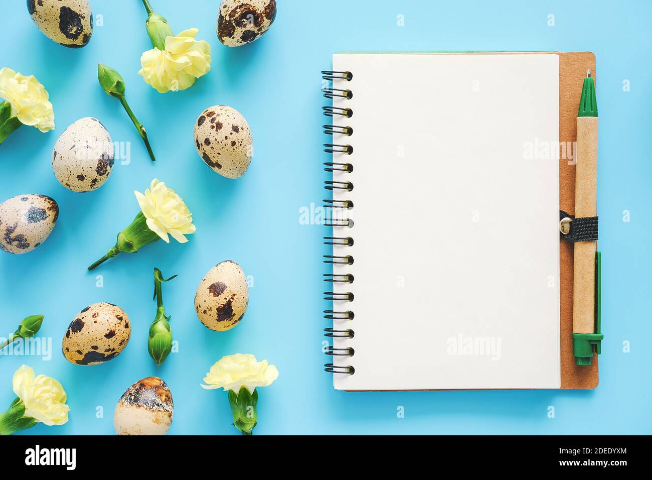 Fleurs jaunes printanières, œufs de caille naturels biologiques et carnet d'artisanat ouvert avec stylo sur fond bleu. Joyeuses Pâques et concept zéro déchet. Maquette Cr Banque D'Images