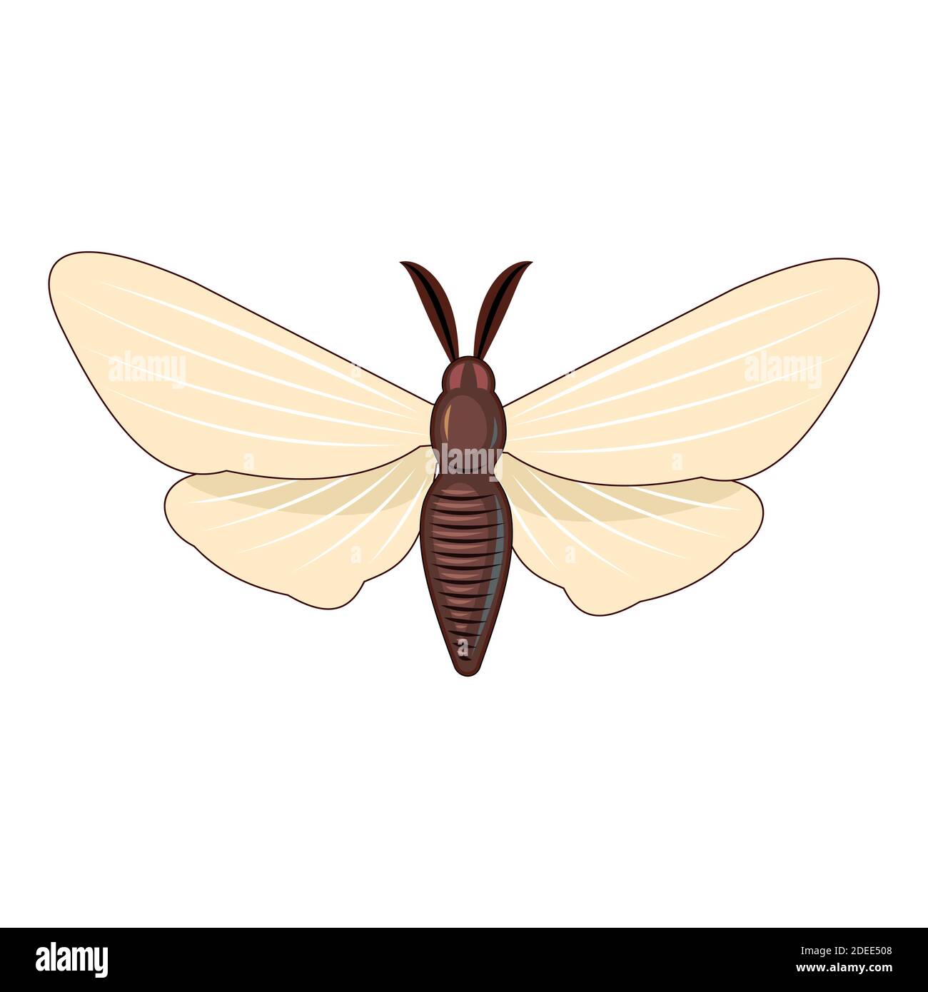 Papillon blanc sur fond isolé. Superbe composition lumineuse. Objet isolé sur blanc. Vecteur. Illustration de Vecteur