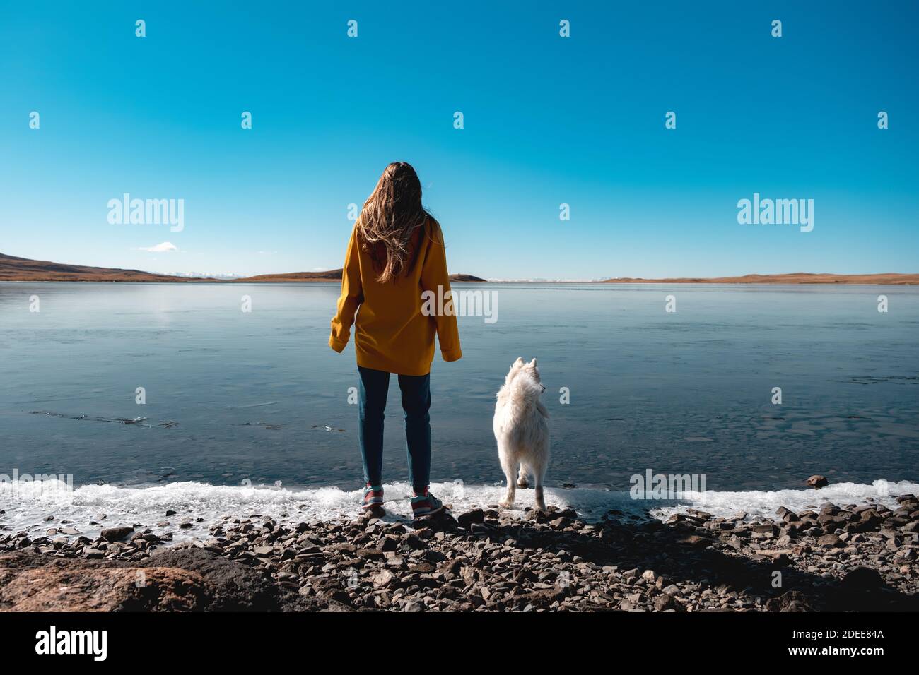 Une jeune fille avec husky blanc se tient à la plage du lac gelé Banque D'Images
