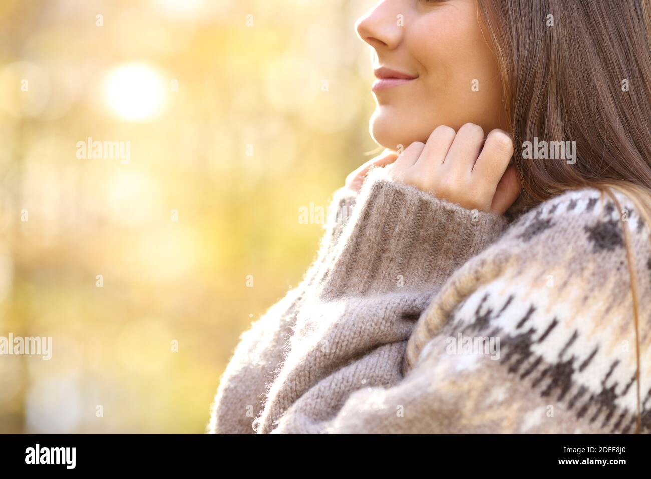 Gros plan sur les mains de femme chauffant saisir le col du chandail dans automne froid dans un parc Banque D'Images