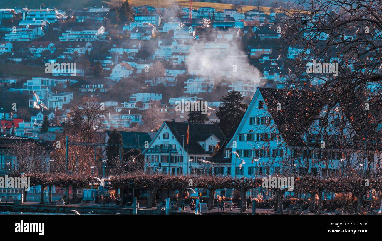 Wollearau Suisse paysage urbain avec des toits de maisons triangulaires en hiver. Tir long. Banque D'Images