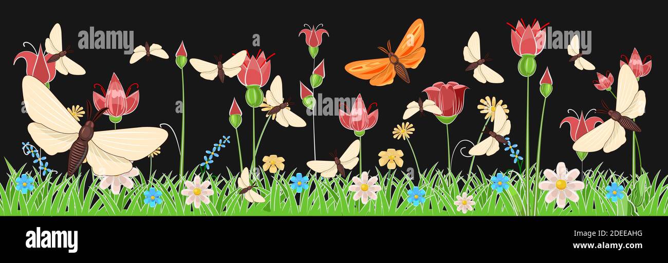 Prairie en fleurs avec herbe, fleurs et papillons. Paysage de nuit. Style de dessin animé. Illustration fabuleuse. Image d'arrière-plan. Belle vue naturelle Illustration de Vecteur